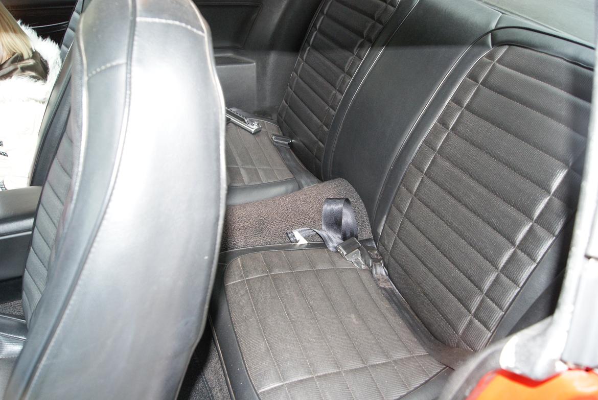 Pontiac Firebird Formula 400 "REAL ONE" billede 11