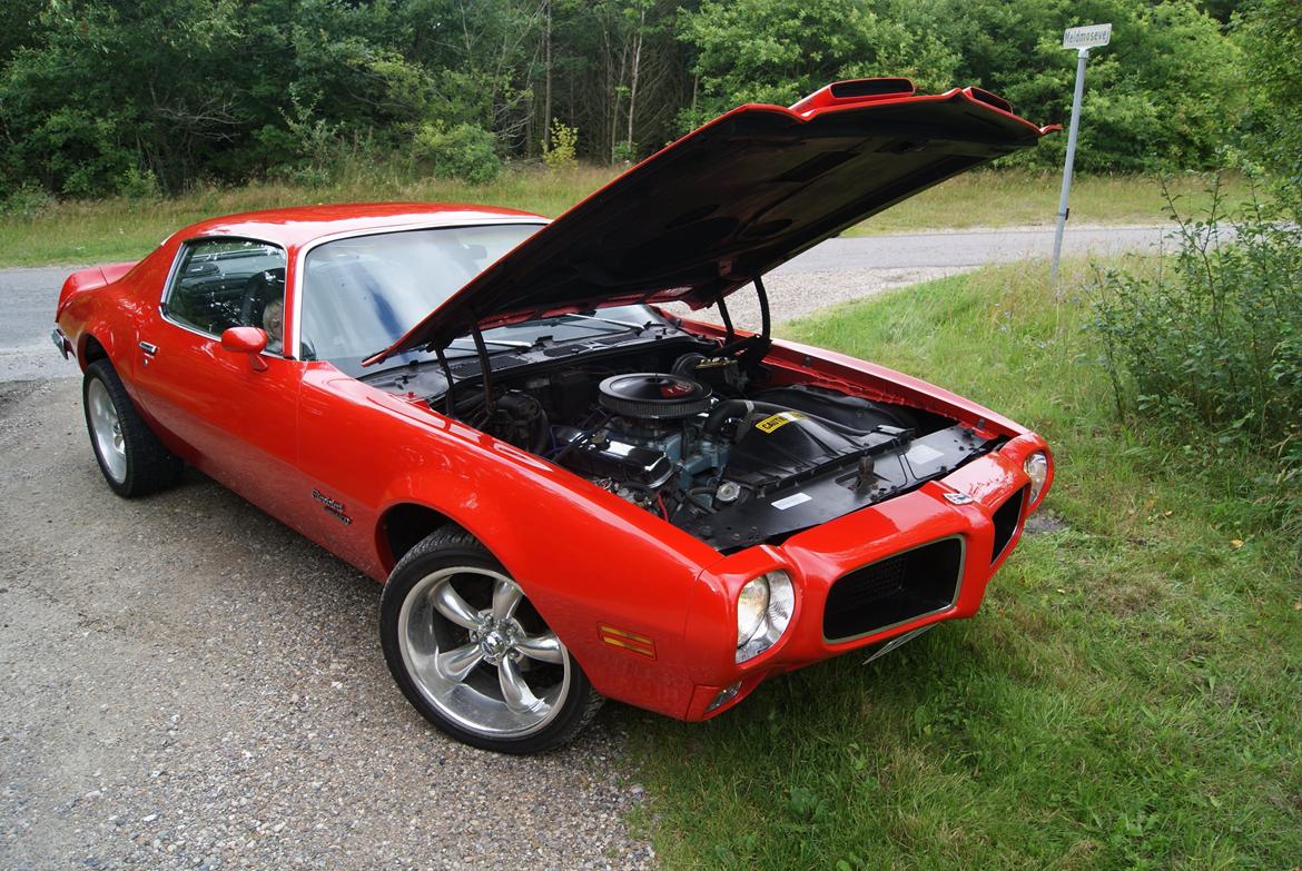 Pontiac Firebird Formula 400 "REAL ONE" billede 16