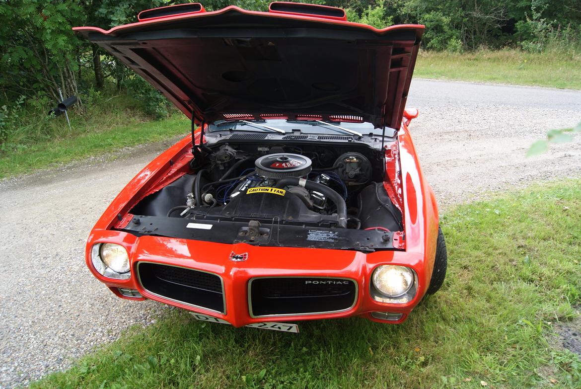 Pontiac Firebird Formula 400 "REAL ONE" billede 17