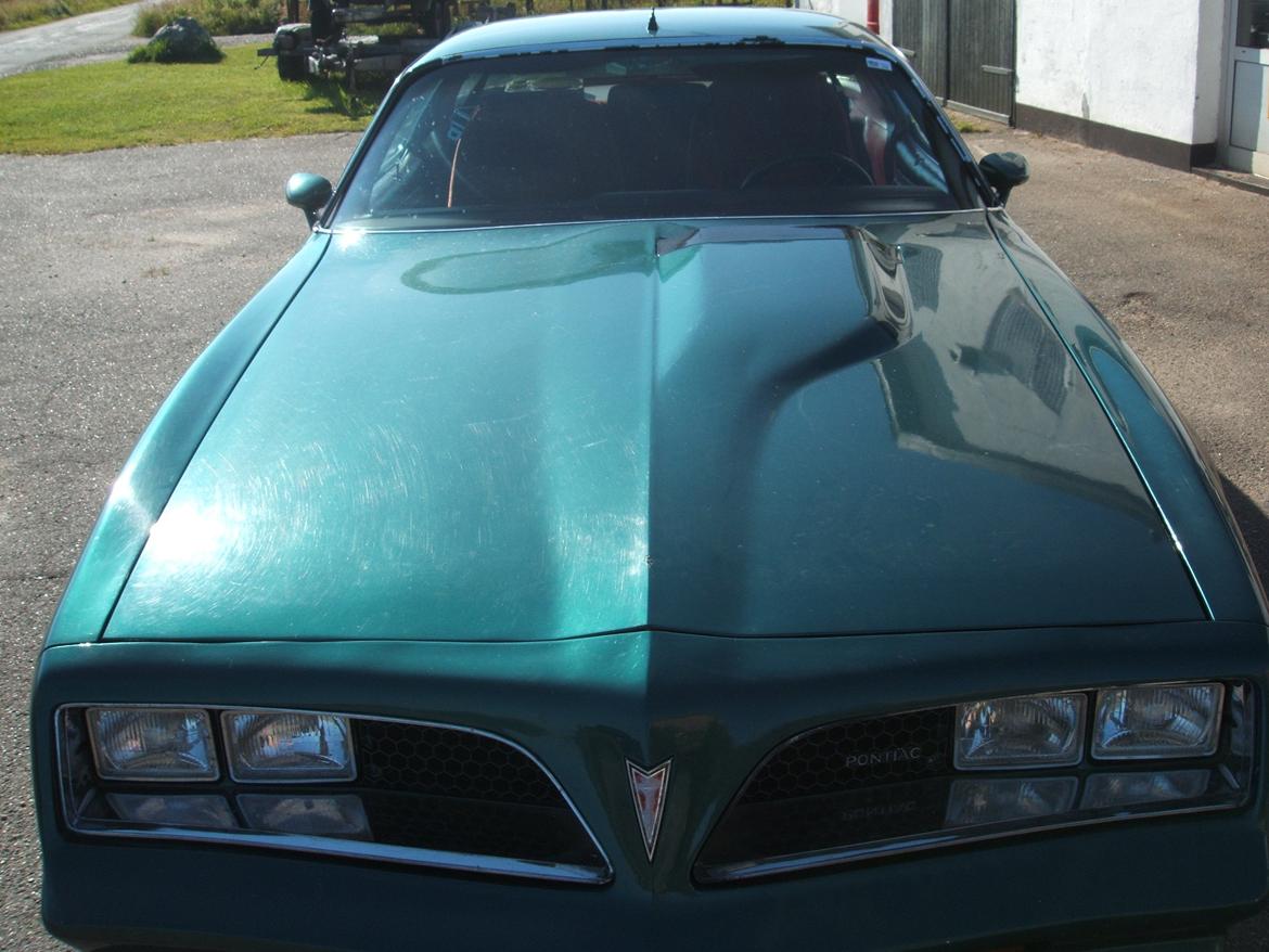 Pontiac trans am billede 10