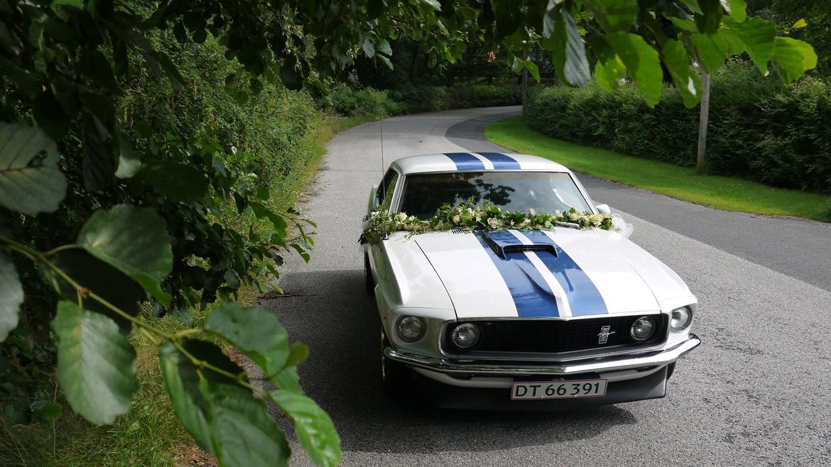 Ford Mustang "Solgt" billede 11