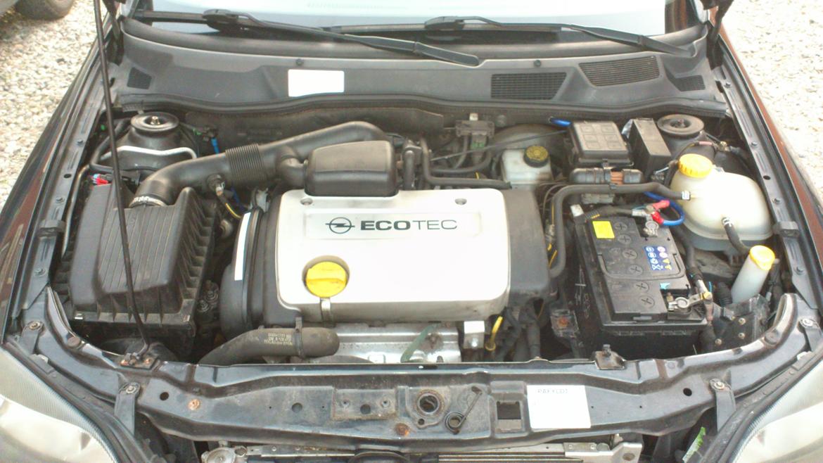 Opel Astra G Elegance billede 13