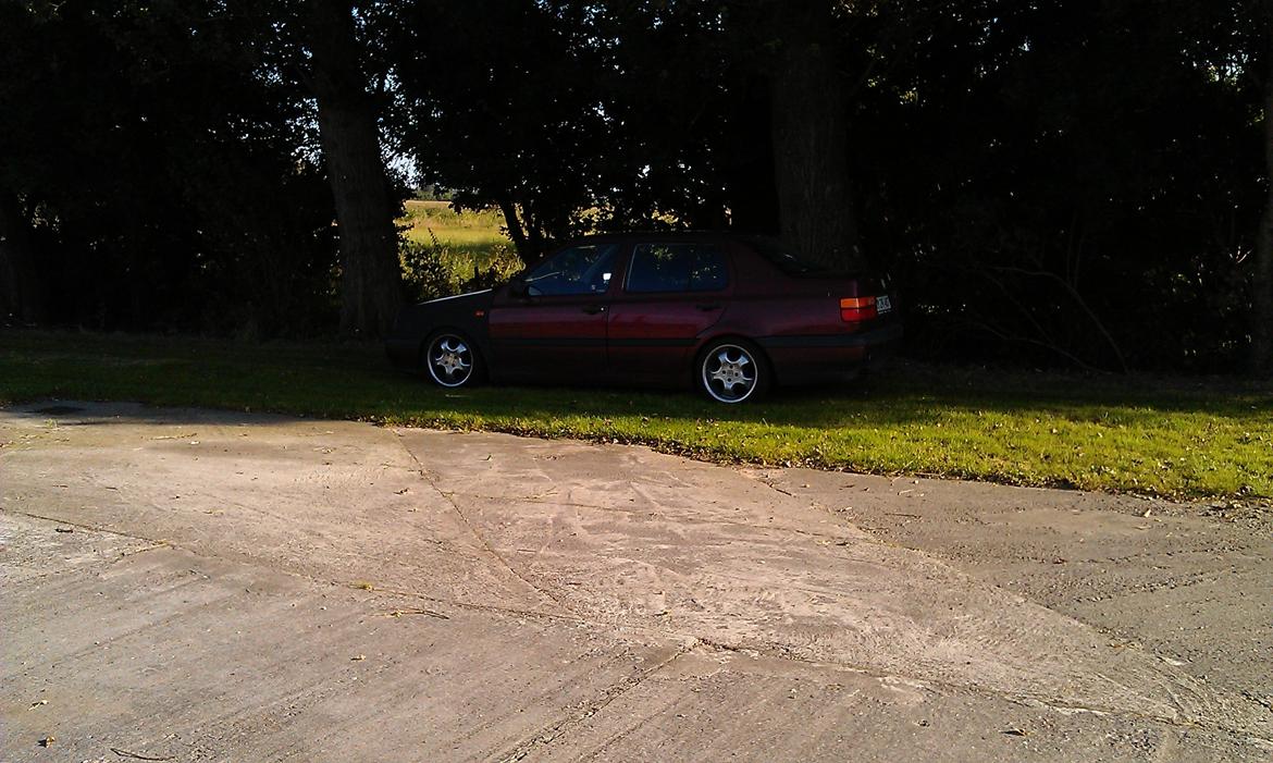 VW Vento CL billede 19