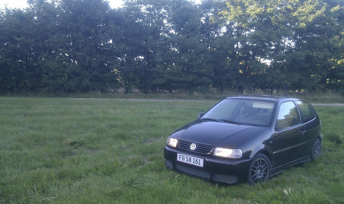 VW Polo 6n 1,6 8v billede 20