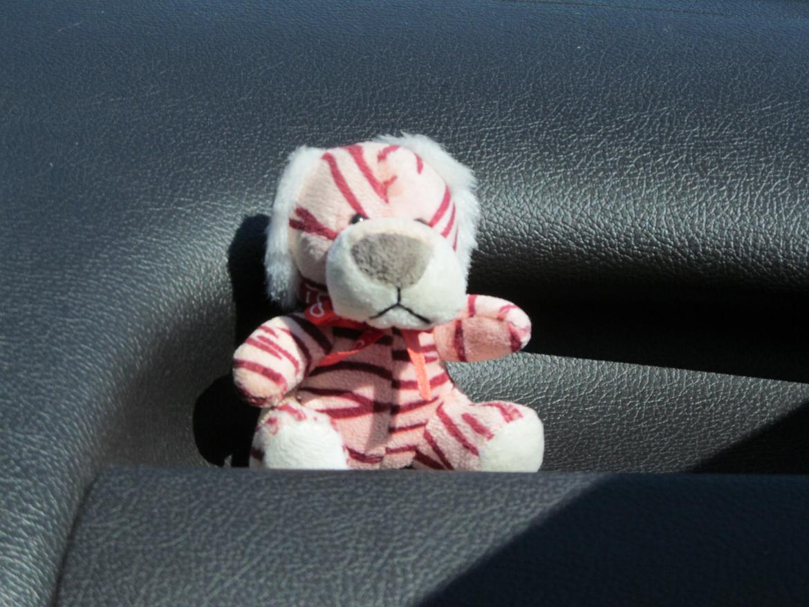 Peugeot 206 - Bilens trofaste mascot billede 19