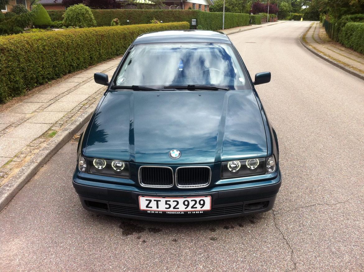 BMW E36 billede 6