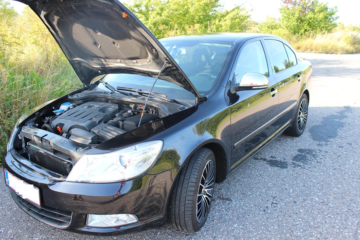 Skoda Octavia GreenLine - Chrom liste på alle dør, 
Spejlhus i chrom,
Chrom håndtag
 billede 6