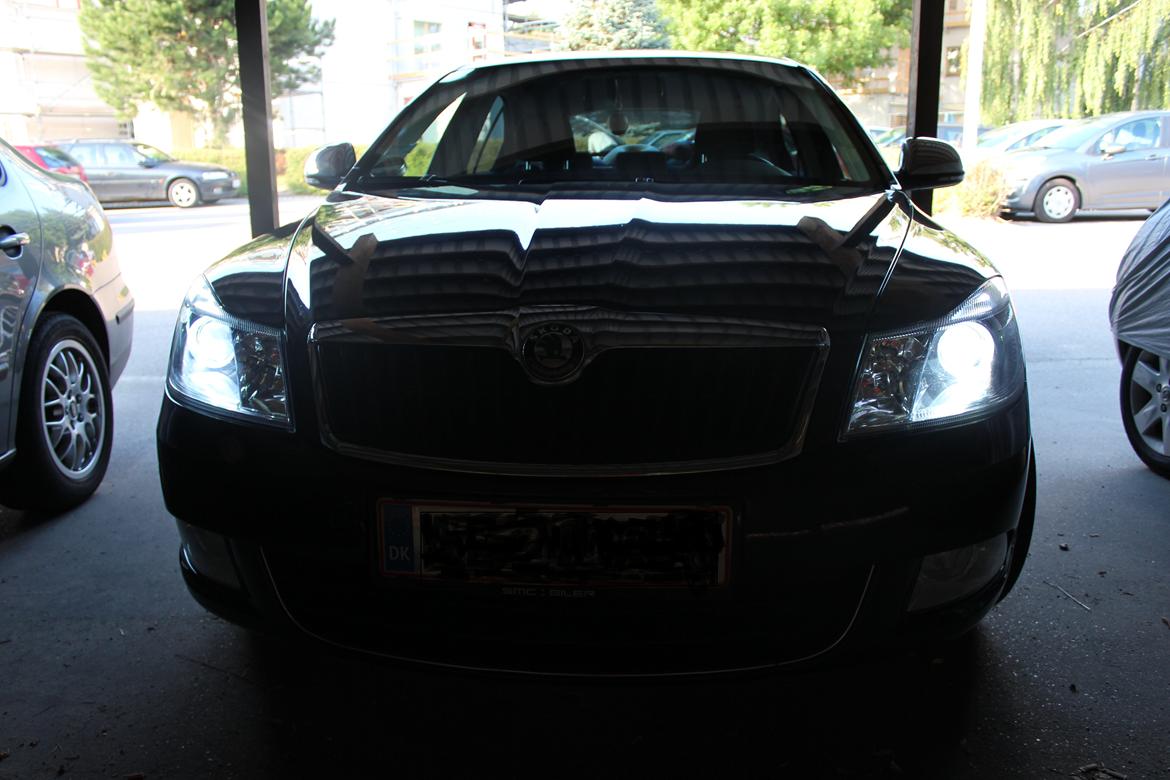 Skoda Octavia GreenLine - Xenonlys 6000K billede 8
