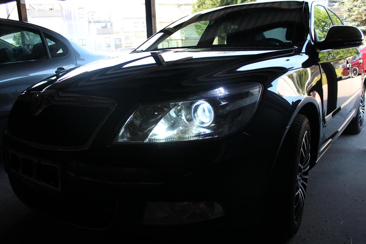 Skoda Octavia GreenLine - Xenonlys 6000K billede 9