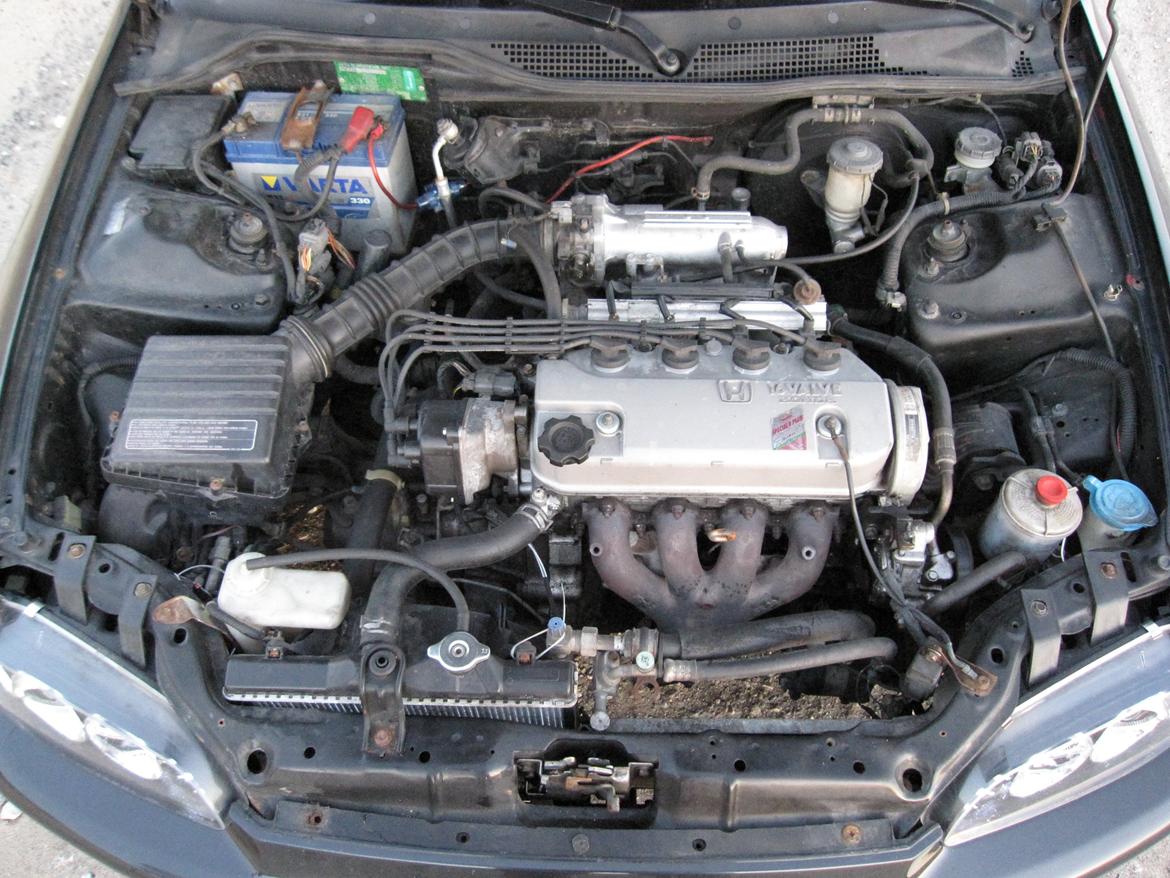 Honda Civic Coupé billede 14