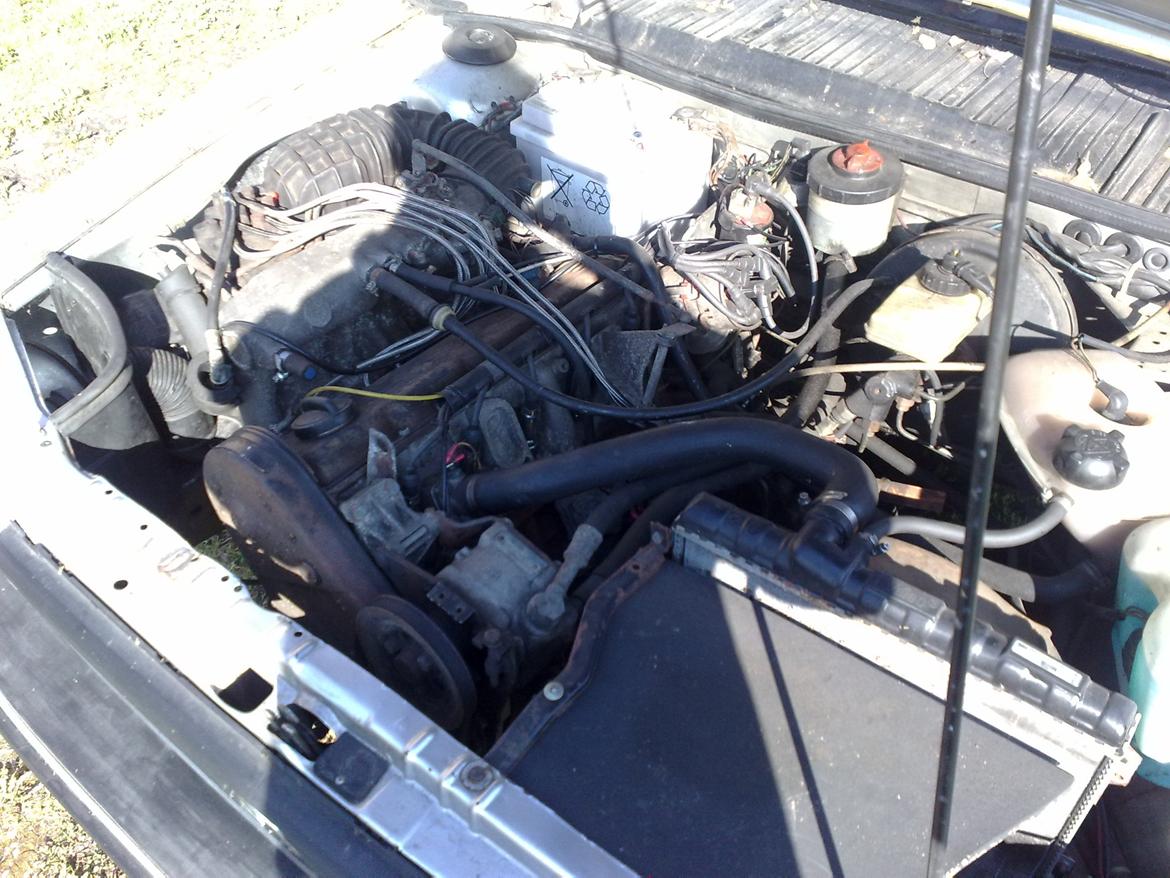 VW Santana Quantum LX 5 Wolfsburg Edition billede 16