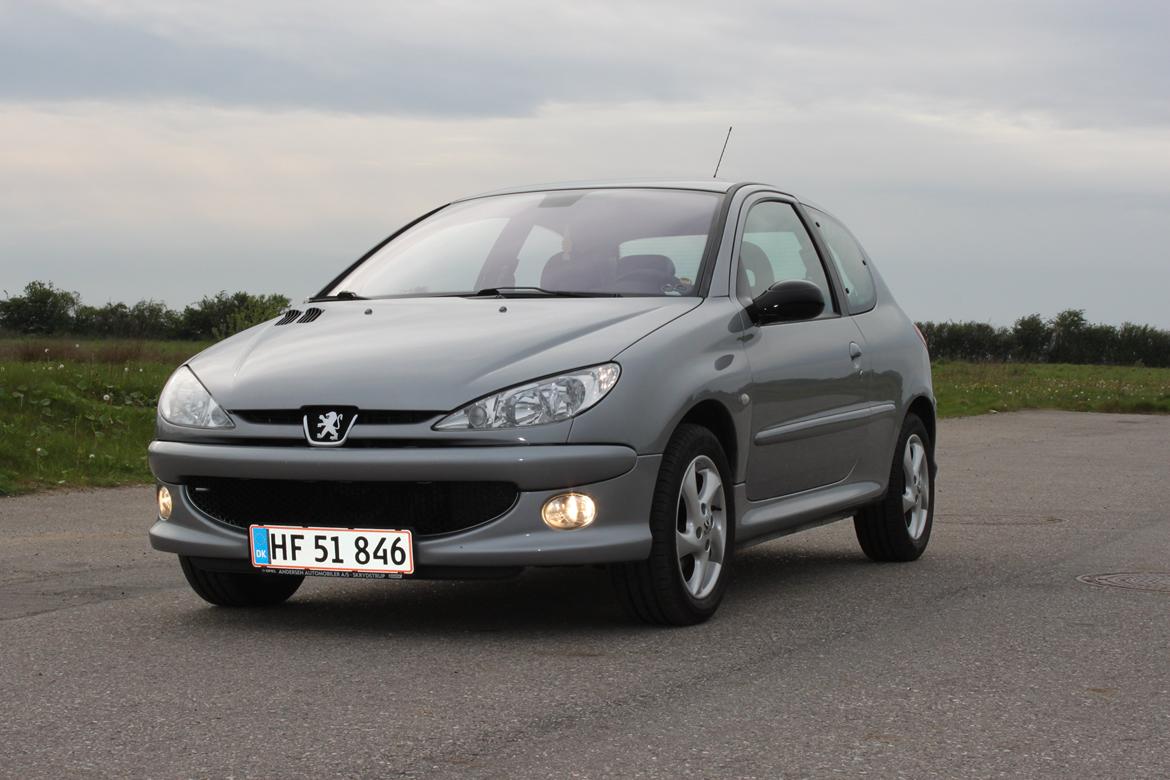 Peugeot 206 Griffe billede 1