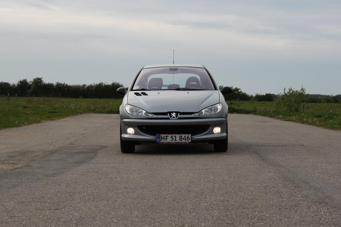 Peugeot 206 Griffe billede 2