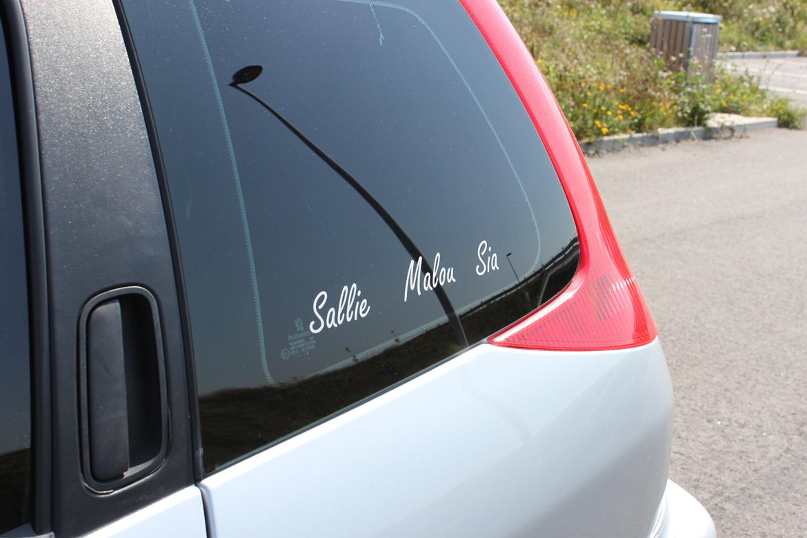 Peugeot 206 S16 SW billede 12