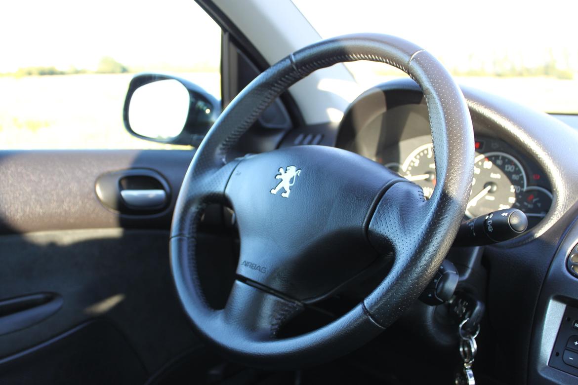 Peugeot 206 Griffe billede 14