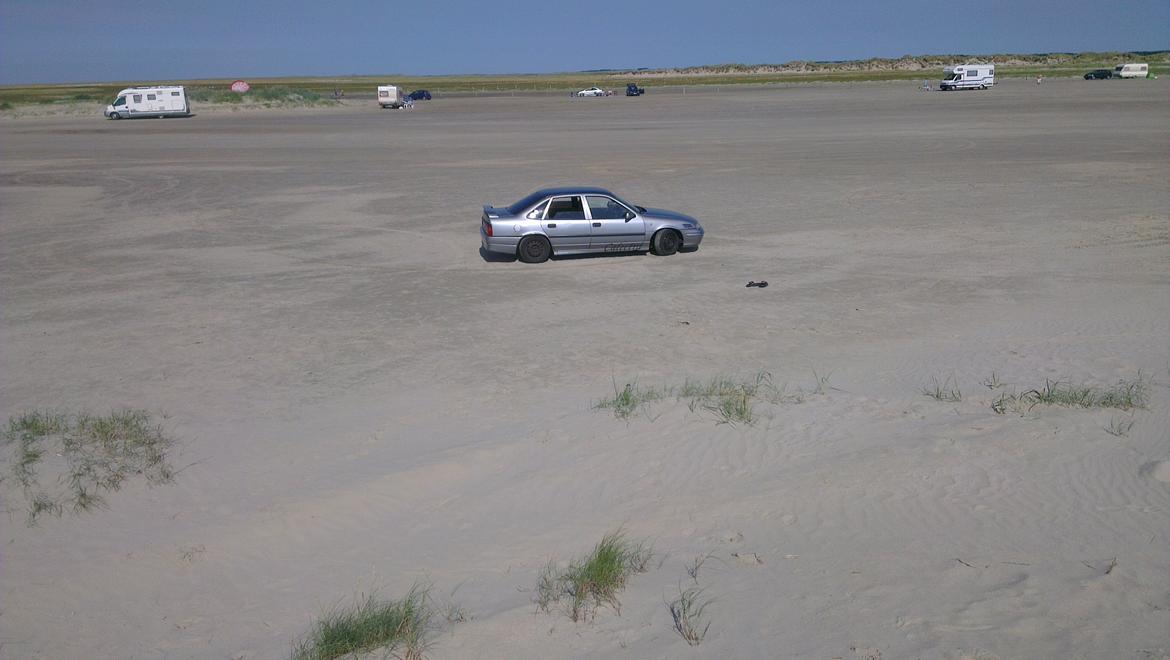 Opel Vectra a (Calectra) Skrottet billede 10