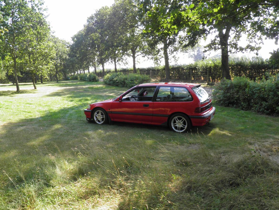 Honda Civic billede 12