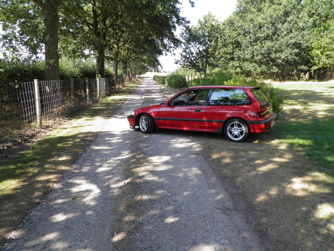 Honda Civic billede 16