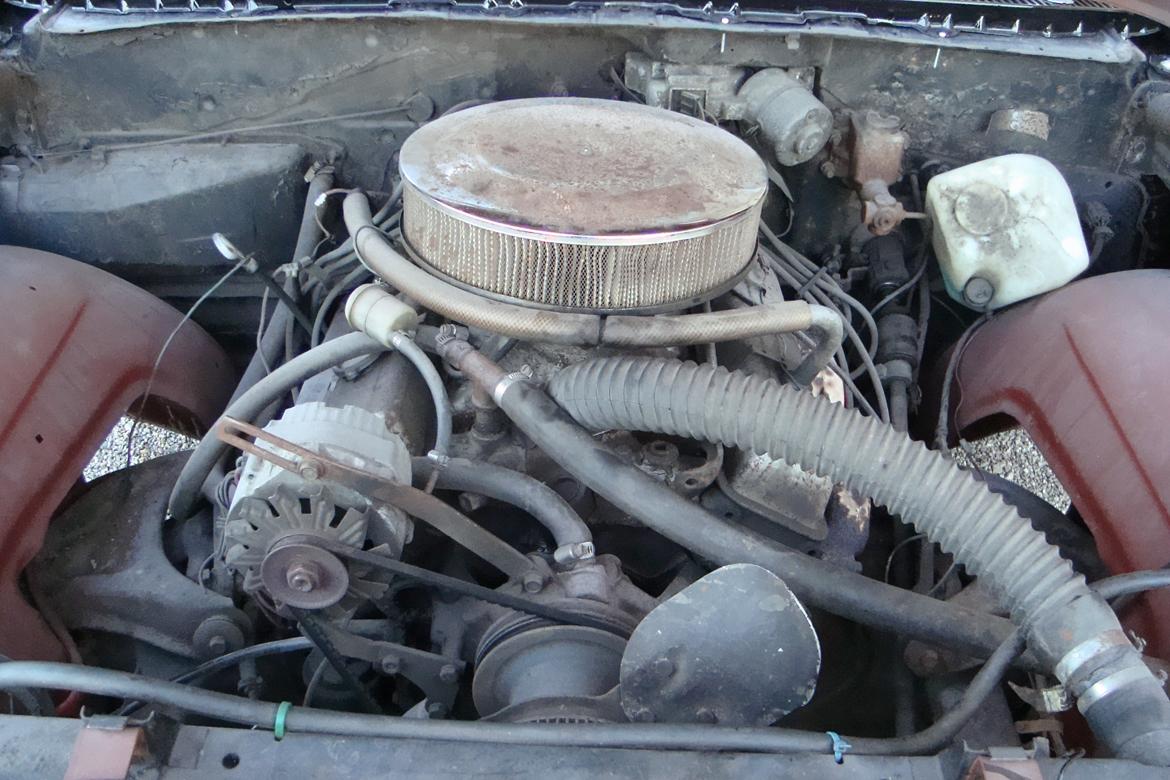 Chevrolet Biscayne billede 15