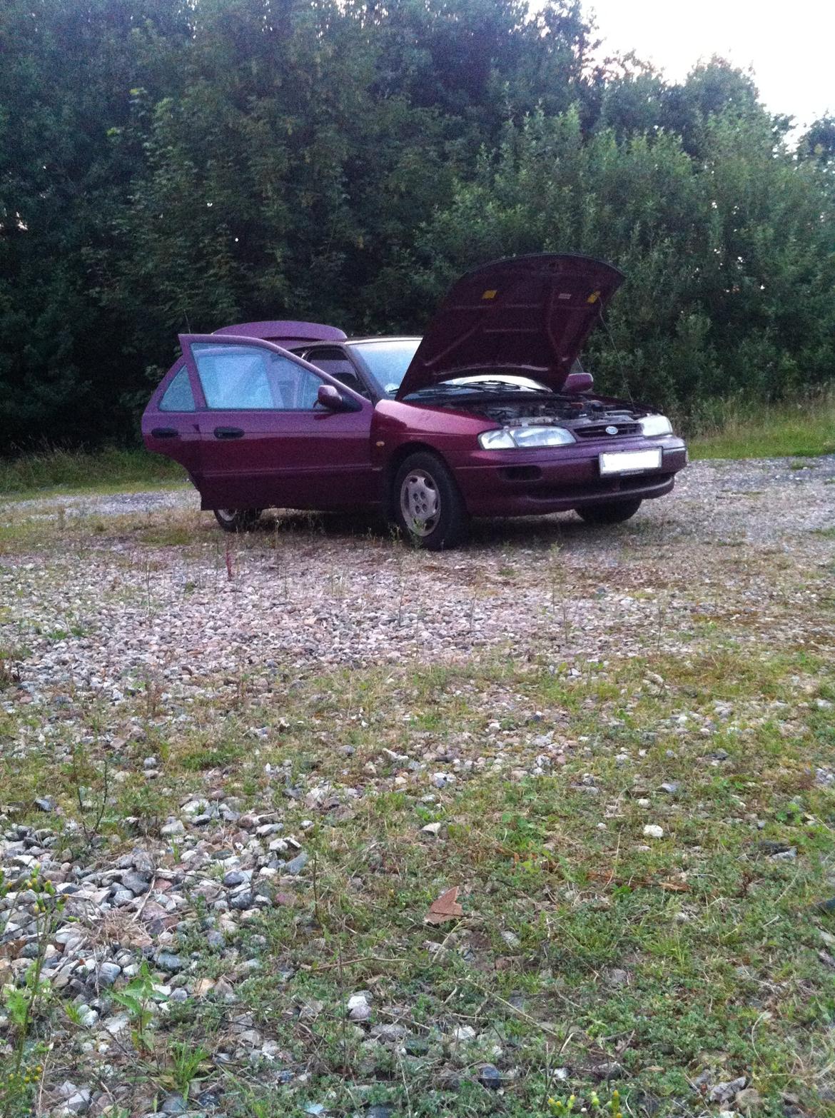 Kia sephia. billede 7