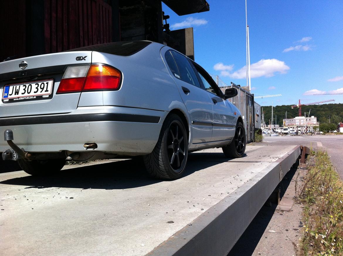 Nissan Primera P11 billede 1