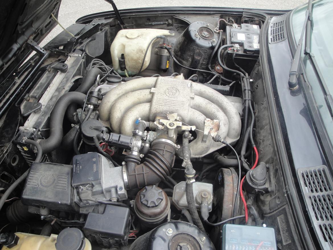 BMW E30 325i Cabriolet billede 15