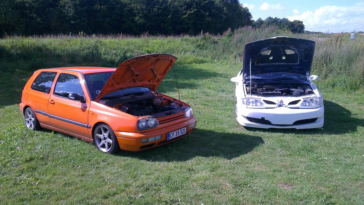 Renault megane coupe ''the lion'' billede 1