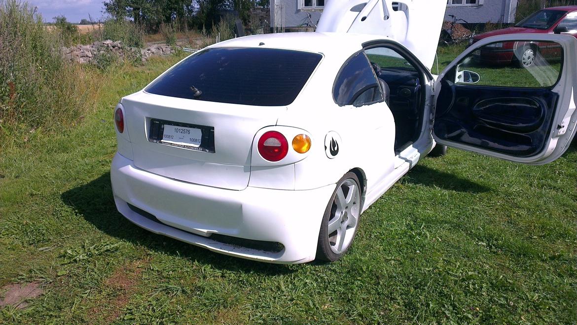 Renault megane coupe ''the lion'' billede 7