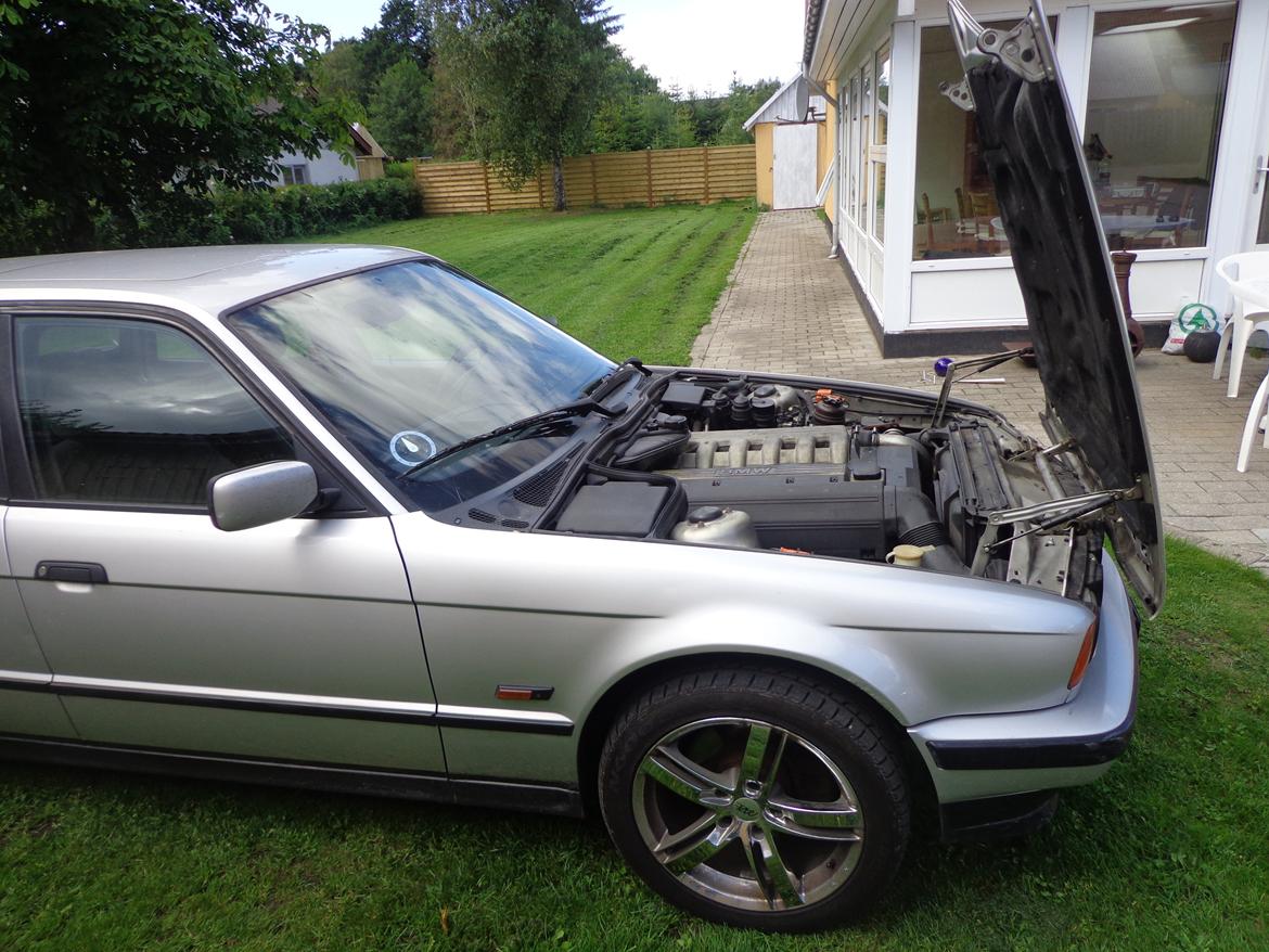 BMW 525 Tds e34 Touring billede 2