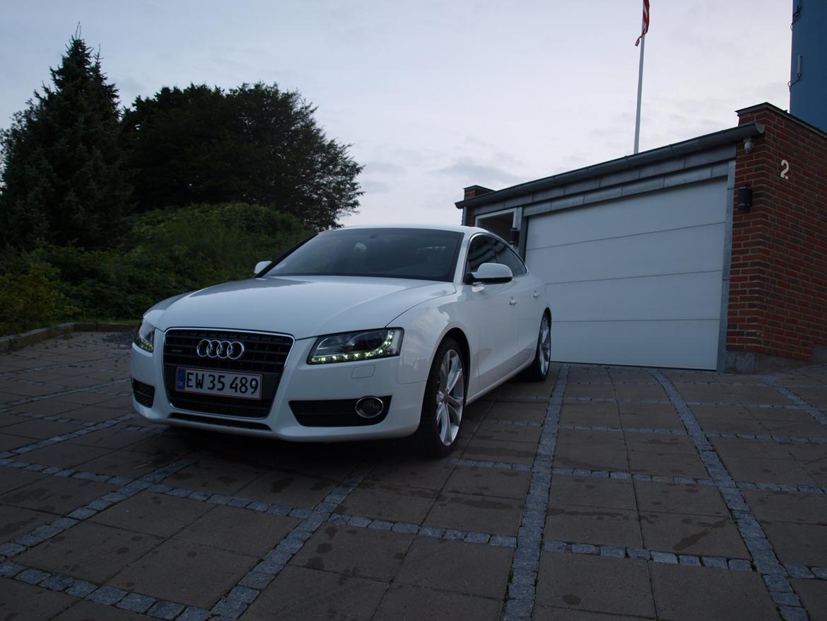Audi A5 Sportback billede 1