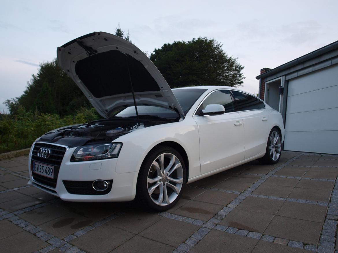 Audi A5 Sportback billede 15