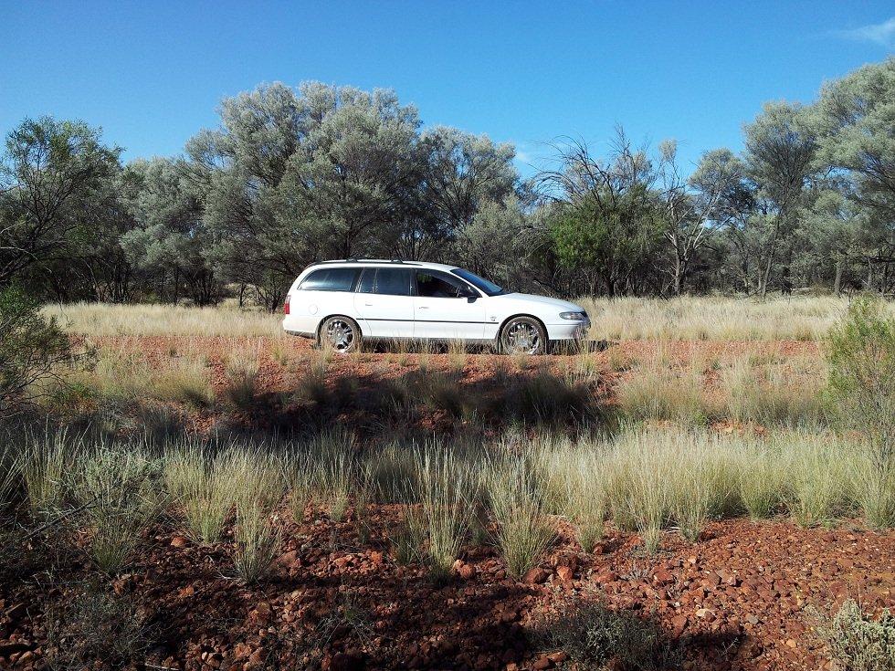 Amerikaner Holden Commodore 3.8L V6 VTII Wagon billede 3