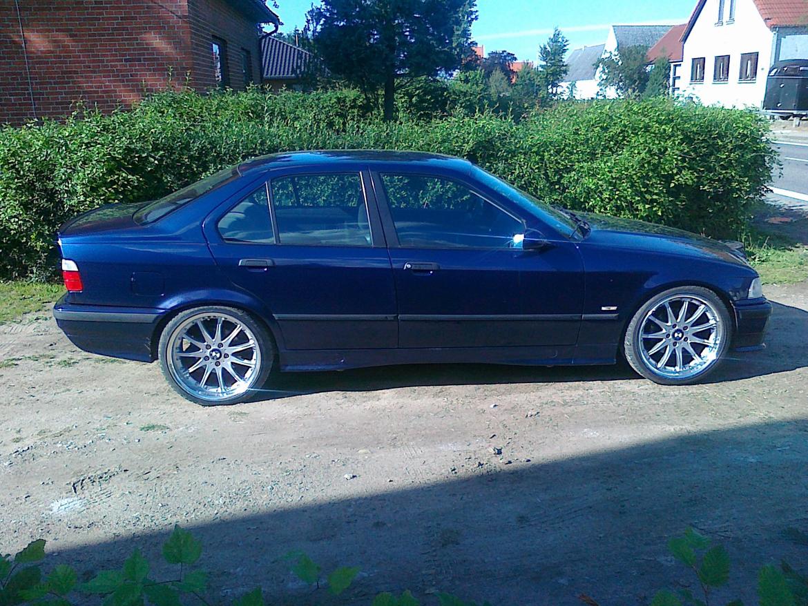 BMW 323i sedan byttet til passat. billede 17