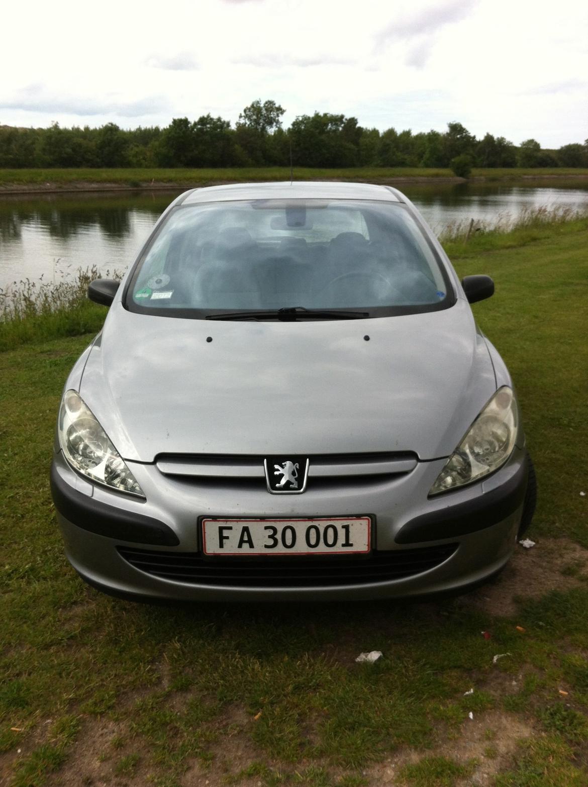 Peugeot 307 billede 1