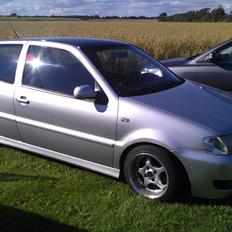 VW Polo 6n2 TDI