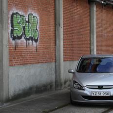 Peugeot 307 "Griffe"
