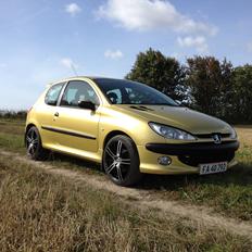 Peugeot 206 "Golddigger"