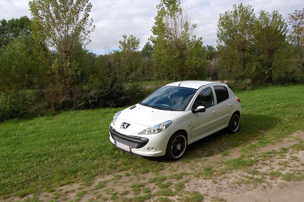 Peugeot 206+ Generation billede 1