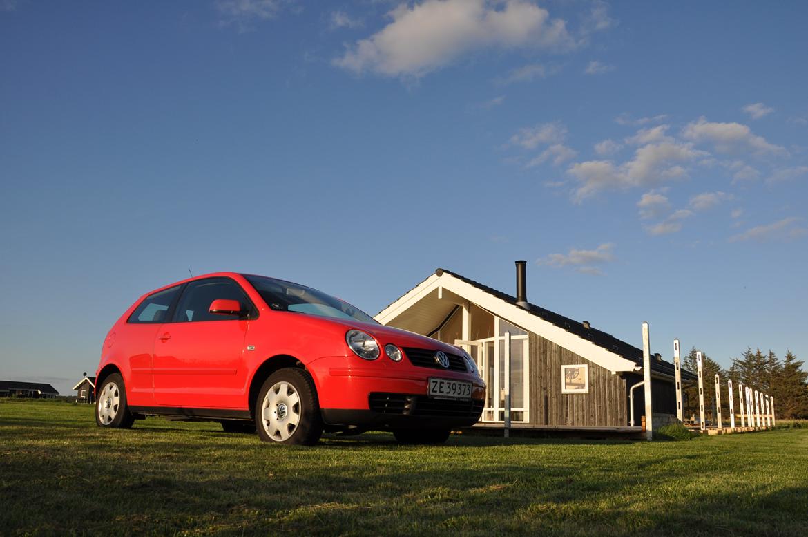 VW Polo 9n billede 21