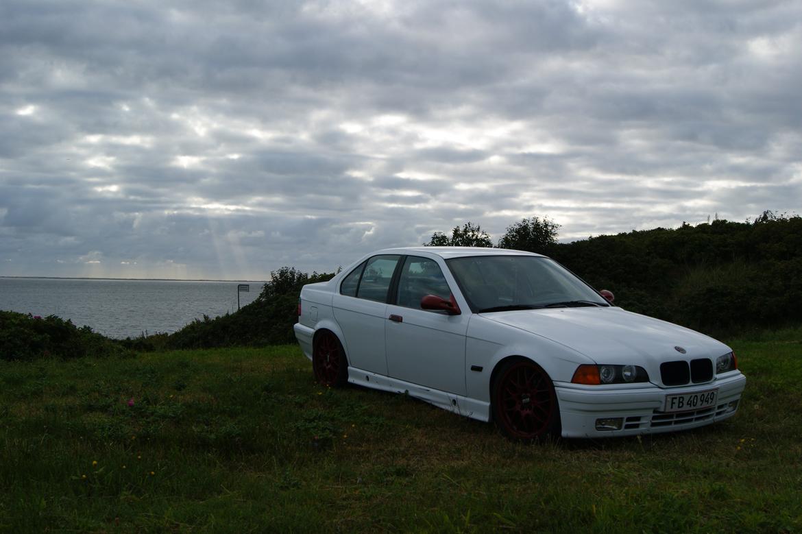 BMW E36 316i billede 5