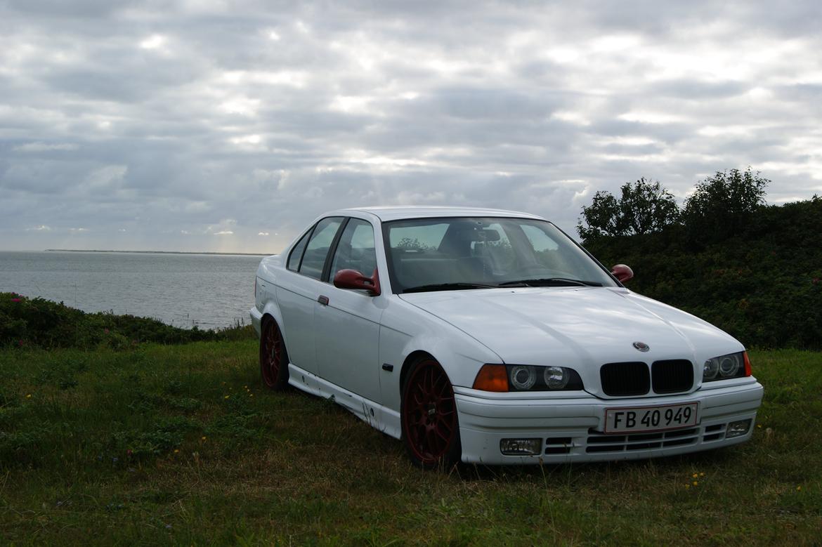 BMW E36 316i billede 8