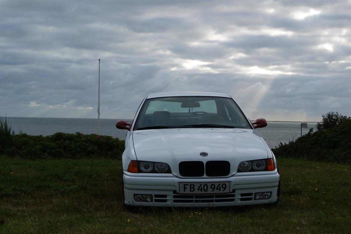 BMW E36 316i billede 12
