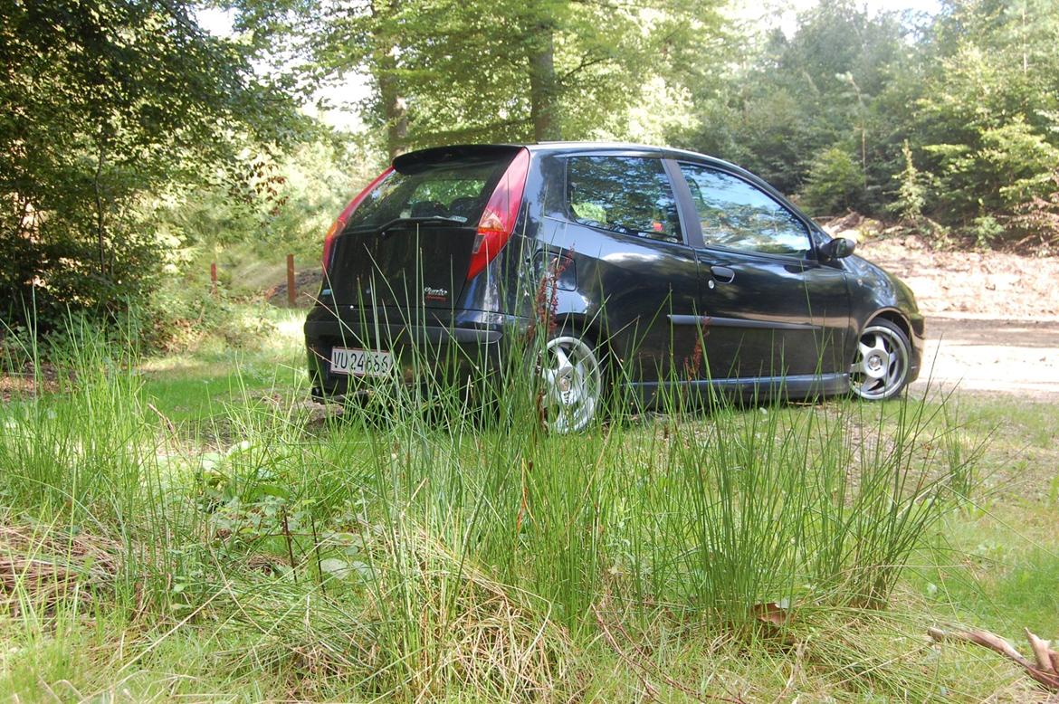 Fiat Punto Sporting 1.2 16v (SOLGT) billede 12