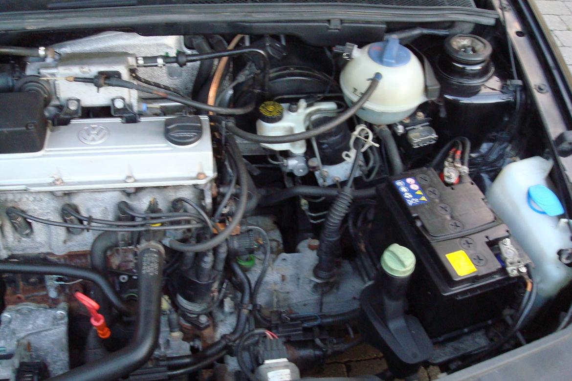 VW Golf III GTi Jubi Edition (SOLGT) billede 10