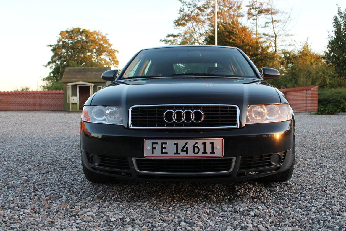 Audi A4 B6 1,6 billede 2