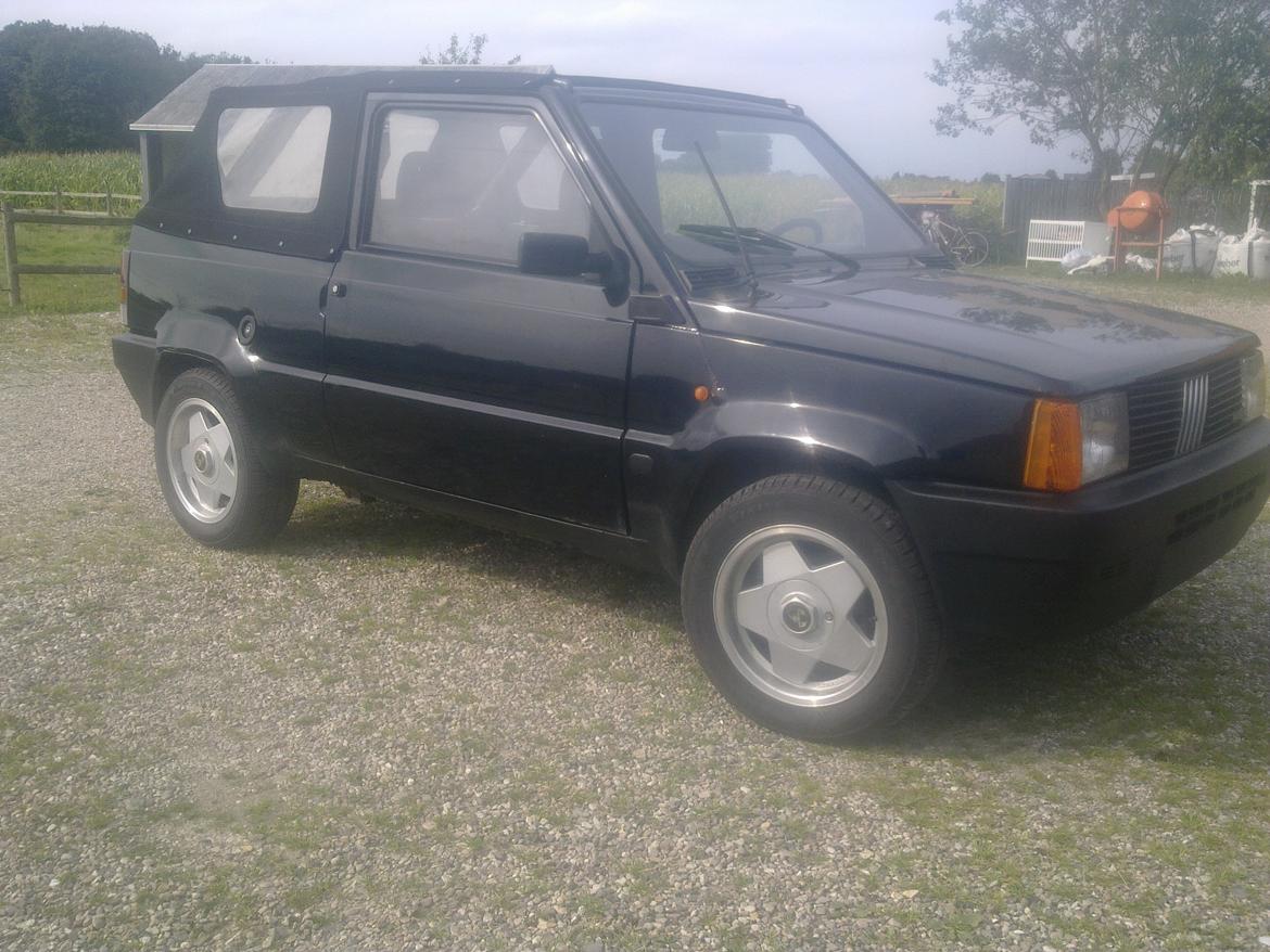 Fiat panda cabrio billede 1