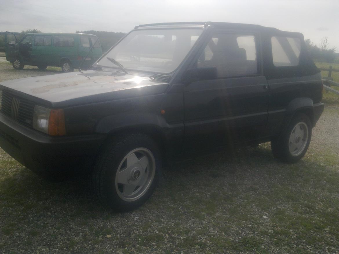 Fiat panda cabrio billede 2