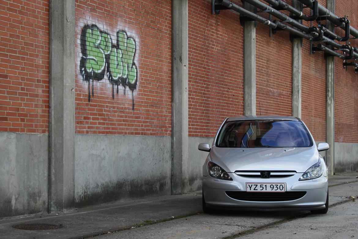 Peugeot 307 "Griffe" billede 2