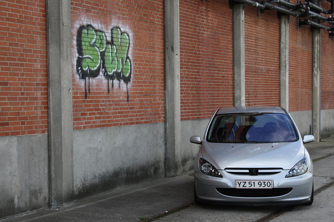 Peugeot 307 "Griffe" billede 3