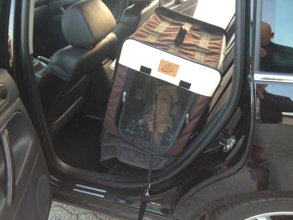 VW Passat 3bg Highline - "børnesædet" billede 12